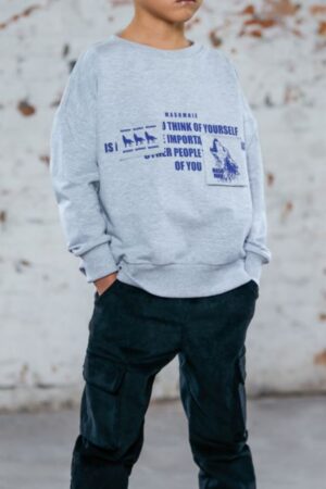 Bluza dla Chłopca Szara Wild City MashMnie