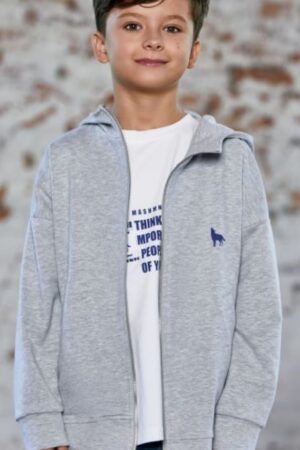 Bluza Dla Chłopca Rozpinana Szara Wild City MashMnie